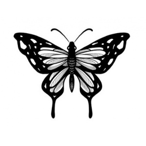 borboleta em preto e branco