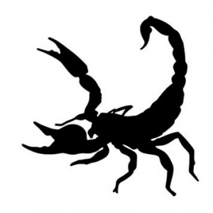 escorpião monocromático em preto