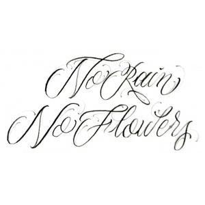 palavra no rain no flower em escrita cursiva