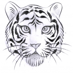 ilustração de cabeça de um tigre siberiano em preto e branco